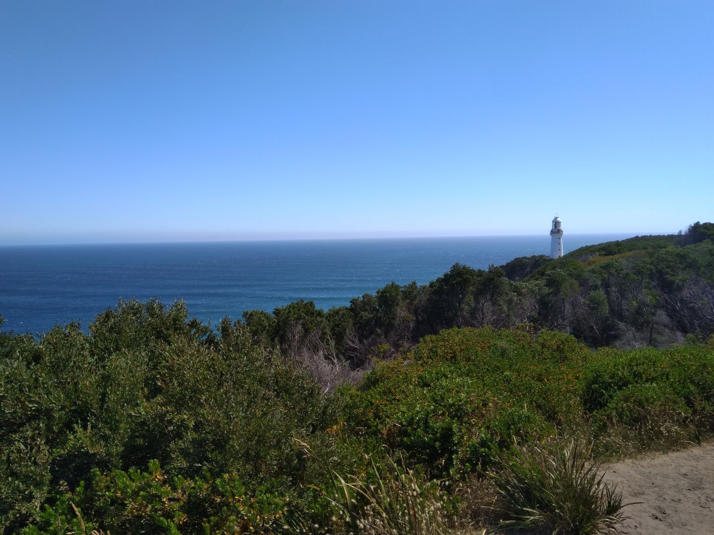 Dense green vegetation sits in front of a small white lighthouse, standing tall at the edge of the deep, lonely blue sea, in front of a clear daylight sky