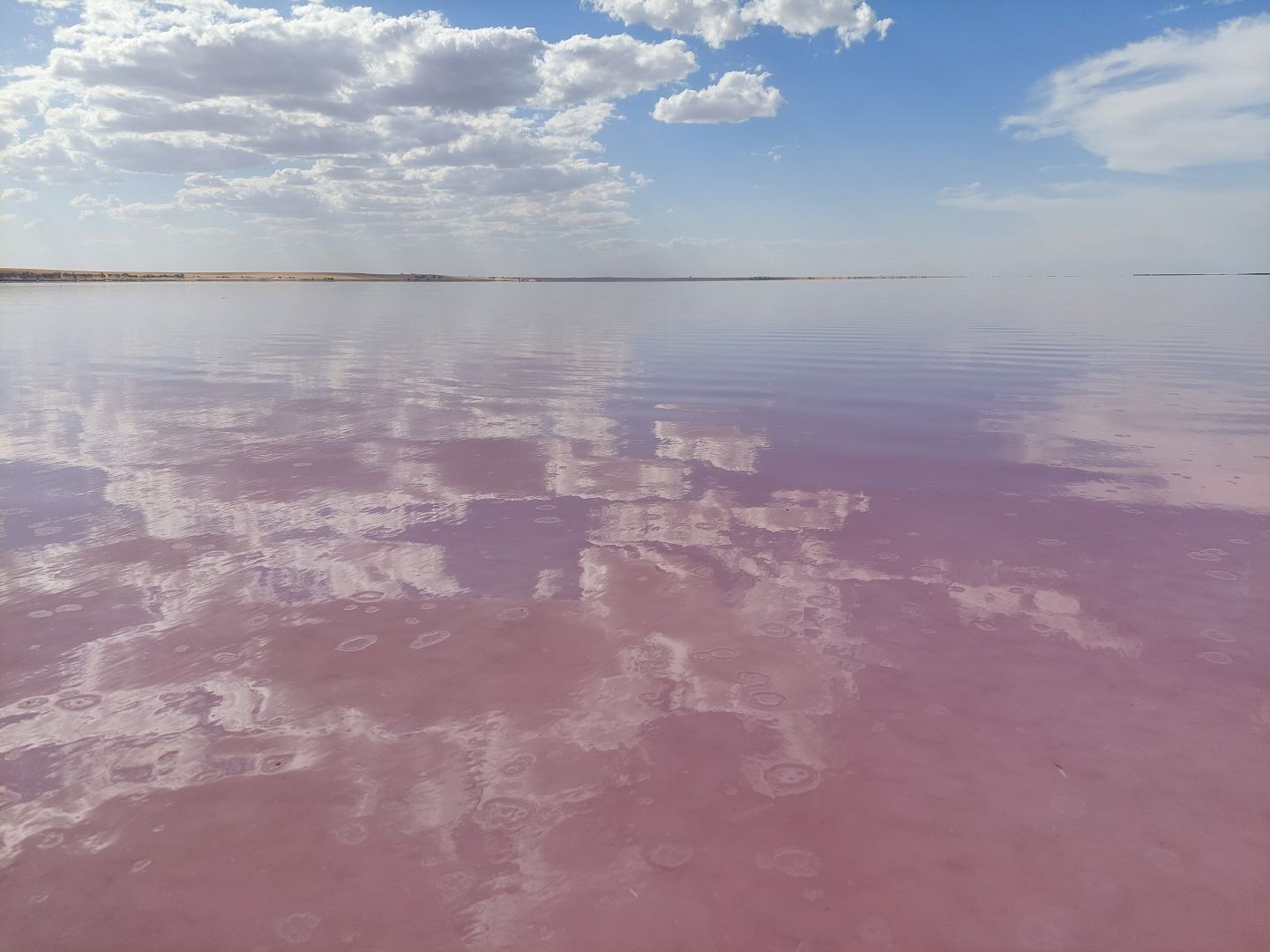 A photograph of a lake, taken from near the water's surface. The lake is a light-to-medium pink colour, while the sky above is bright blue. The large clouds scattered across the sky are reflected on the water's surface.