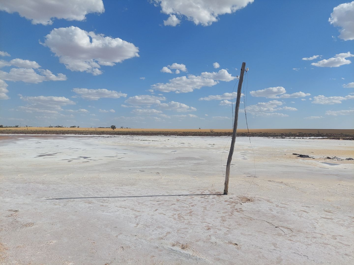 A photograph of a dry lake bed, different to the last. The evaporated water has left behind a layer of salt across the entire bed, extending throughout most of the photograph. In the middle of the lake is a rough timber post with an old electrical insulator mounted at the top. The associated electrical line has long since been removed. In the distance, much further away, the edge of the lake can be seen with golden crops.