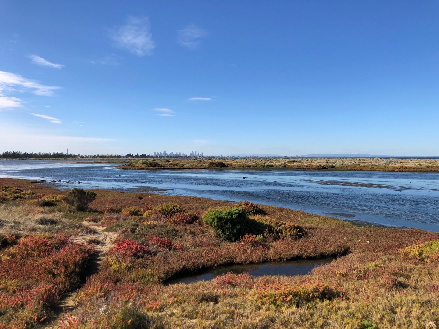A sunny day looking towards the city of Melbourne. In the foreground are the Cheetham Wetlands with some green and red low-growing foliage. A smaller body of water features across the centre of the picture, while the bay itself is obscured by the wetlands.