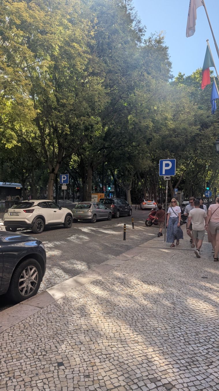 This street was the posh street of Lisbon. Lovely and tree lined