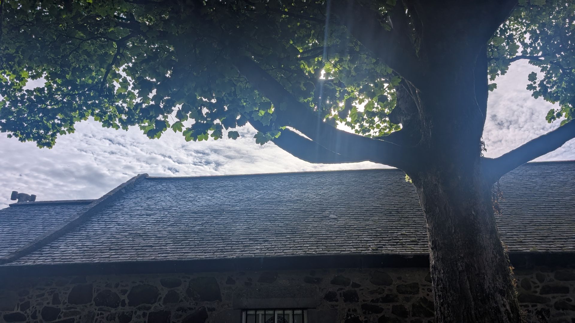 Just a lovely shingle roof in the sunshine