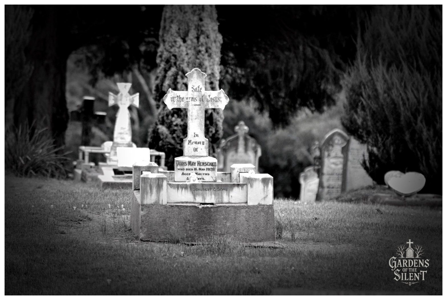 A black and white photograph highlighting a central marble headstone shaped like a cross with the carved words "Safe in the arms of Jesus". It stands within a low walled plot, surrounded by a lawn. In the background, other monuments, including a Celtic style cross, sit out of focus beneath large evergreen trees. Bright daylight highlights the white marble against the darker foliage background.