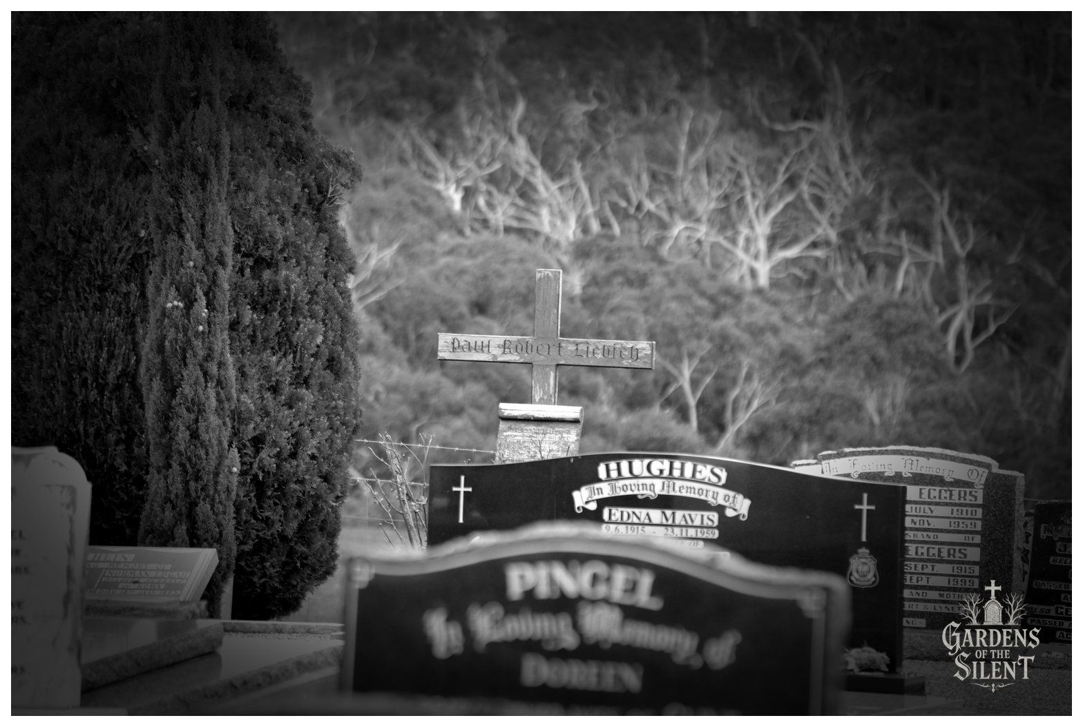 A monochrome telephoto composition looking across polished dark granite headstones in the foreground toward a simple wooden cross. The central timber cross is inscribed with the name Paul Robert Liebich in Gothic script. To the left stands a tall, manicured evergreen tree, whilst the bright background reveals the tangled, sunlit branches of native Australian scrub.