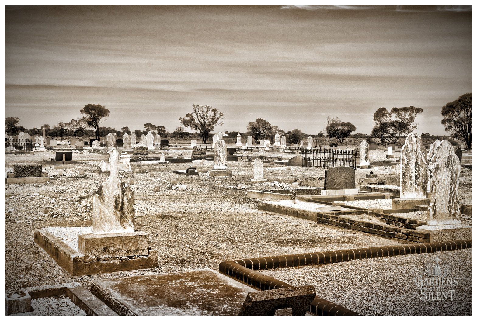 A wide sepia toned landscape photograph looking across an expansive, sunbaked rural cemetery. In the foreground, raised grave borders, iron railings, and weathered marble markers cast short shadows across the gravel ground. In the midground and distance, numerous historic monuments and cross markers spread out towards a scattered tree line of native gum trees under a hazy, layered sky.