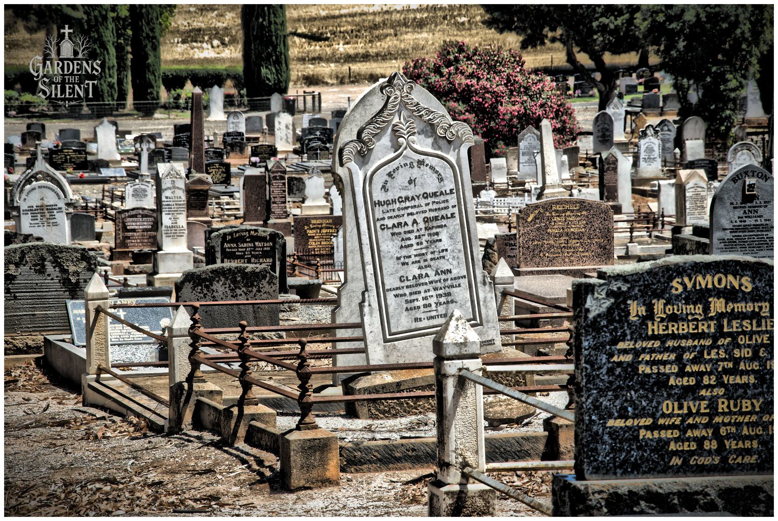 A colour photograph capturing a dense collection of historic headstones in a sunlit cemetery. In the mid ground, a tall white marble monument with detailed scrollwork commemorates Hugh Gray Queale and Clara A. Queale. A dark granite headstone stands sharply in the right foreground, while a low metal pipe railing borders the immediate grave plots. The background features rolling yellow hills and scattered green trees. A watermark reading 'Gardens of the Silent' is in the top left corner.