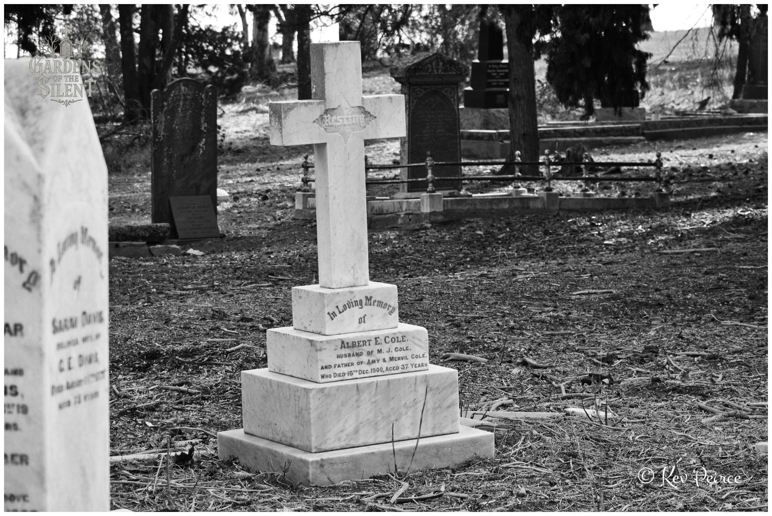 A high contrast black and white photograph showcasing a tiered marble cross monument for Albert E. Cole. The cross is inscribed with the word Resting in a decorative band, mounted on a three stepped base atop a litter of twigs and pine needles. The surrounding cemetery grounds, iron fenced plots, and distant headstones are softly focused in the dappled midday sunlight.