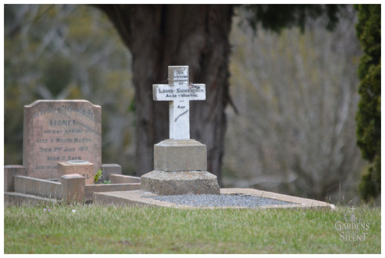 A full colour photograph of a small white stone cross headstone mounted on a tiered base in a grassy field. The cross bears the inscription for a young child, "Louis Sickerdick". Next to it sits a second, reddish granite headstone. A large, dark tree trunk forms a soft focus background behind the primary cross. The natural daylight is soft, highlighting the pale green lawn in the foreground.