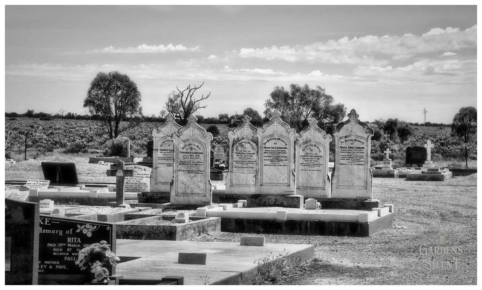 A black and white landscape photograph capturing a neat row of tall, arched marble headstones dedicated to the Lehmann family in a dry country cemetery. The foreground shows concrete kerbing and gravelled plots under bright daylight. In the background, native eucalypts and low mallee scrub stretch towards a flat horizon beneath a pale sky dotted with soft cumulus clouds.