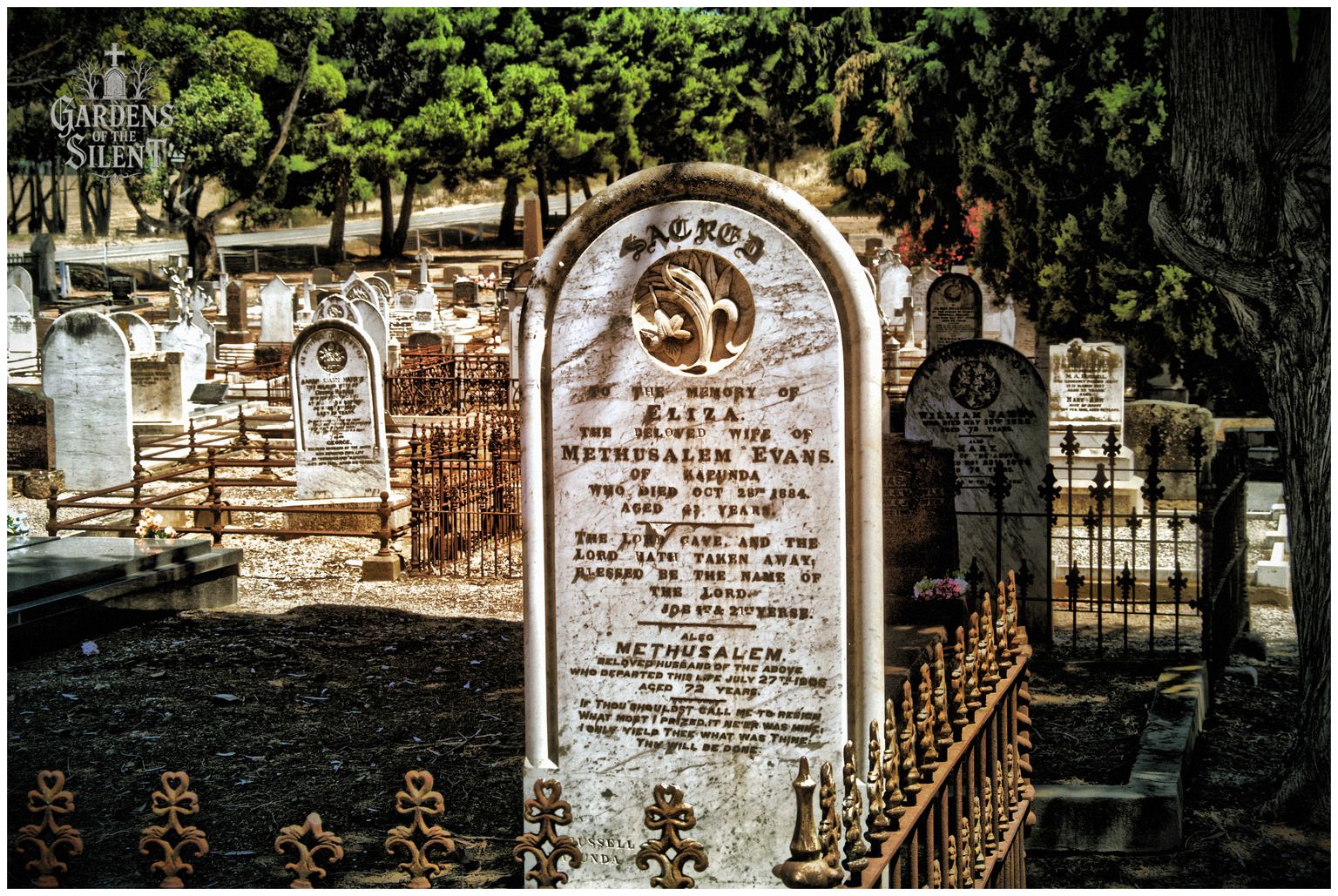 A colour photograph showing a white marble headstone dedicated to Eliza, the wife of Methusalem Evans, dating back to 1884. The headstone is adorned with a detailed relief carving of a lily inside a circle. A low, weathered iron fence runs along the bottom and side of the frame, separating the grave from dark, shaded earth. Lush green trees fill the background, filtering the bright afternoon sunlight. A watermark reading 'Gardens of the Silent' is in the top left corner.