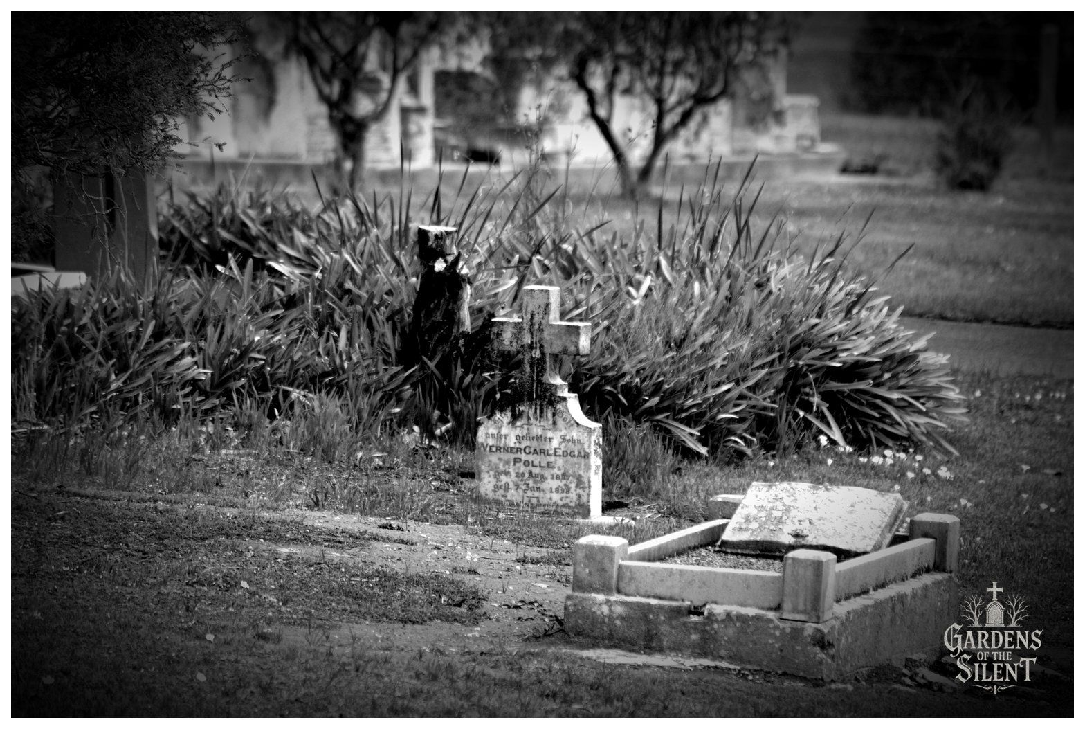 A black and white image showcasing an aged, lichen stained stone cross marker set amidst thick clumping foliage. The headstone inscription in German commemorates Werner Carl Edgar Polle. In the right foreground sits a low, raised concrete kerb and ledger stone, with out of focus background trees and historic cemetery structures completing the tranquil rural scene.