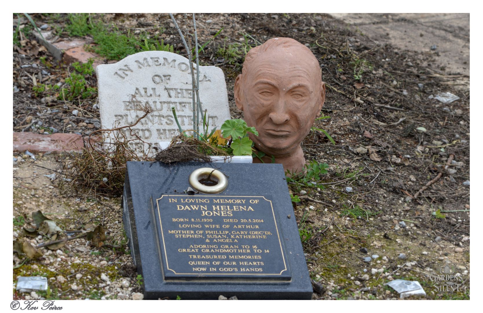 A memorial site at Milang Cemetery featuring a black plaque with gold lettering honoring Dawn Helena Jones, surrounded by personal tributes.

The plaque details her roles as wife, mother, grandmother, and great-grandmother, with the phrase “Queen of our hearts” engraved at the bottom.

Behind it stands a weathered white gravestone with partially eroded text, and beside it rests a solemn terracotta head sculpture placed directly on the ground. The scene blends traditional remembrance with artistic expression, reflecting love, legacy, and quiet dignity.