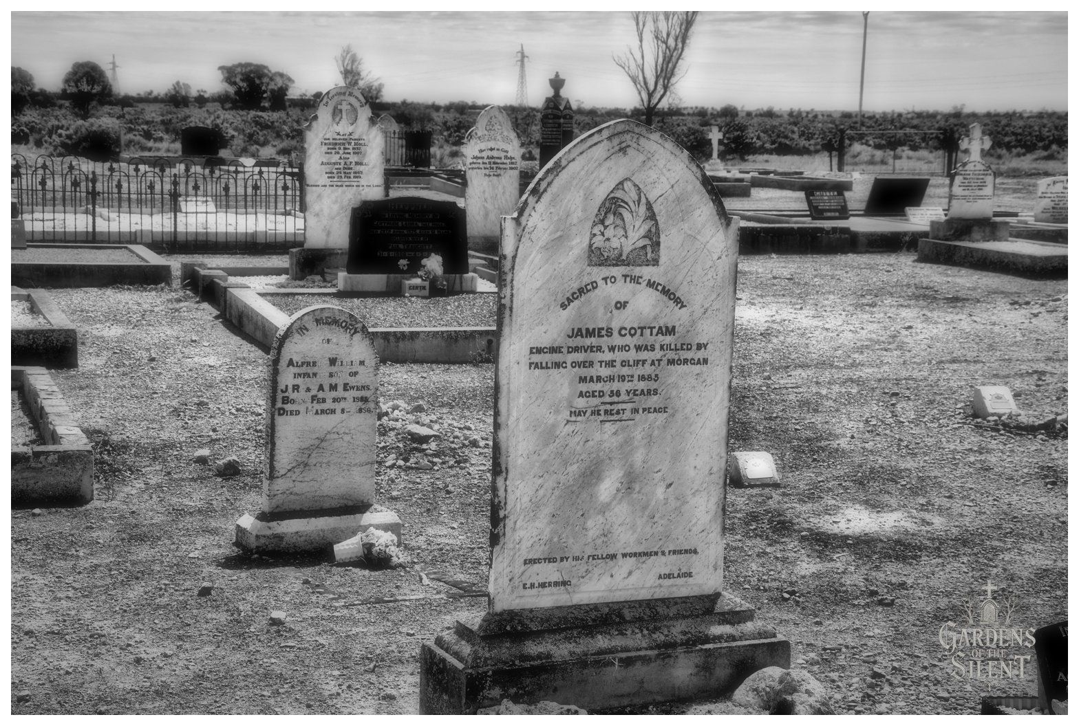 A black and white photograph highlighting an upright, curved marble tombstone with floral relief carvings. The inscription is dedicated to engine driver James Cottam, who was killed after falling over the cliff at Morgan in 1883, erected by his fellow workmen. The grave rests in a sunlit cemetery surrounded by crushed stone, iron fencing, and scattered historical headstones beneath a bright, lightly clouded sky.