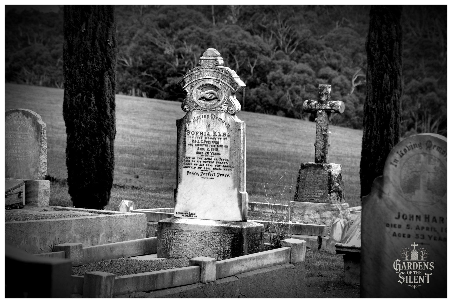 Black and white photograph showcasing an ornate white marble headstone situated between two tall, slender cypress trees. The headstone honours Sophia Elsa Pfeiffer, who died in 1916 at age twenty, and features a detailed pediment relief of clasped hands above an inscribed hymn and epitaph. The grave sits within a concrete kerb on a terraced slope. Behind the plot, a rustic stone cross stands before an open hillside dotted with gum trees in the distance. A Gardens of the Silent watermark rests in the lower right corner.