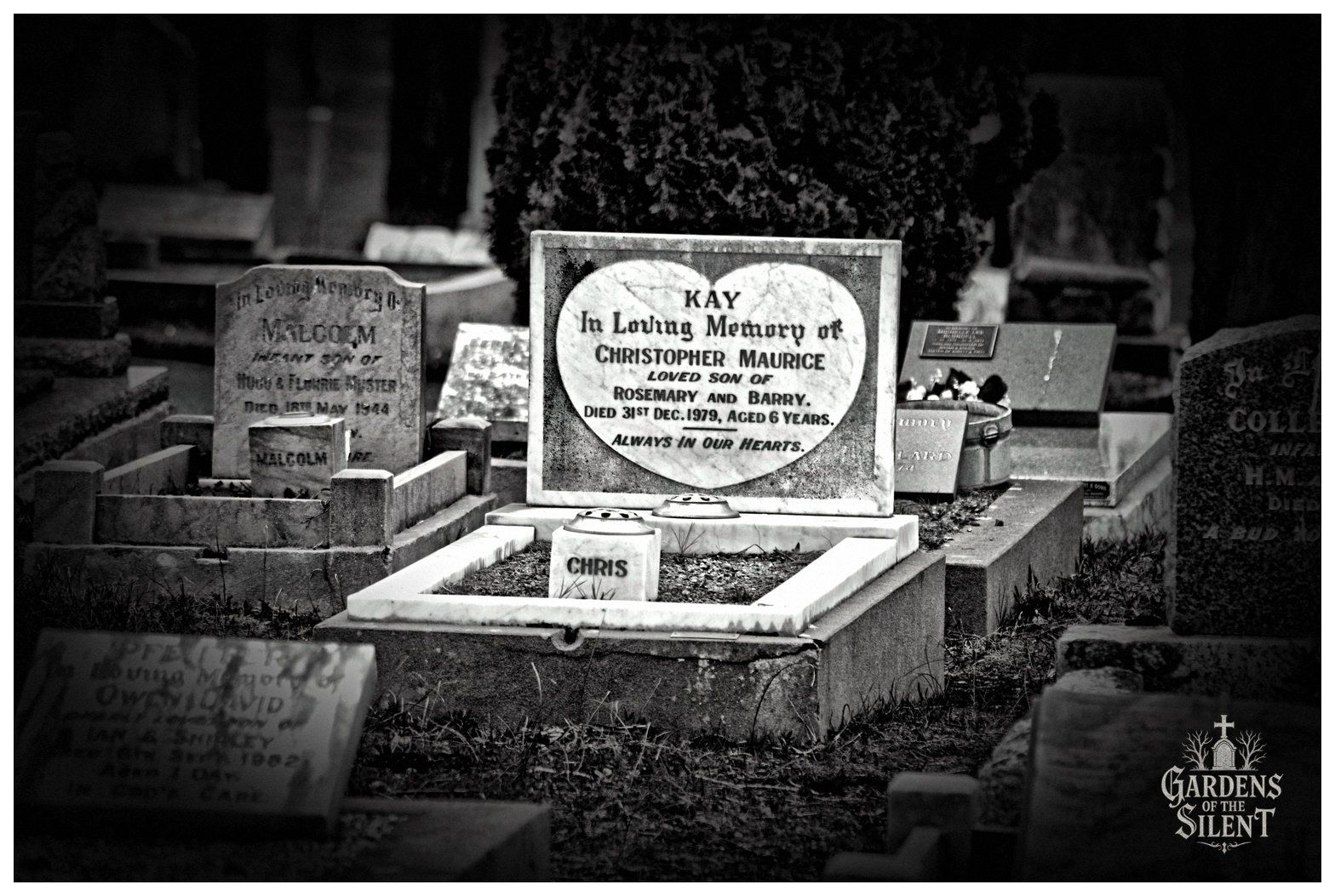 Black and white photograph focusing on a child's grave amongst closely spaced cemetery plots. The central headstone is an upright marble tablet featuring a carved heart emblem dedicated to Christopher Maurice Kay, who passed away in 1979 aged six years. In front of the marker, a stone kerb borders a gravel bed with a small square vase inscribed Chris. Tilted and upright neighbouring headstones, including one for infant Malcolm Muster from 1944, cluster around the plot beneath the dark foliage of an evergreen bush. The Gardens of the Silent watermark appears in the bottom right corner.