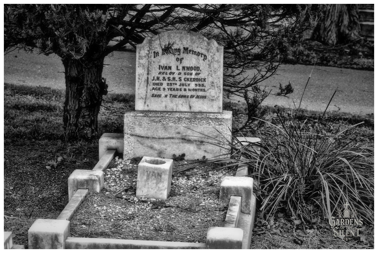 Black and white photograph of a grave monument sheltered beside the rugged trunk and overhanging branches of a conifer tree. The curved marble headstone is dedicated to Ivan Linwood, beloved son of J.H. and S.H. Sckerdick, who died in 1935 aged nine years. The grave plot features marble kerbing with block corners and a small square marble vase inscribed with the name Ivan. The scene is lit with even, diffused light, highlighting the contrasting textures of rough tree bark and smooth stone. The Gardens of the Silent logo sits in the lower right corner.