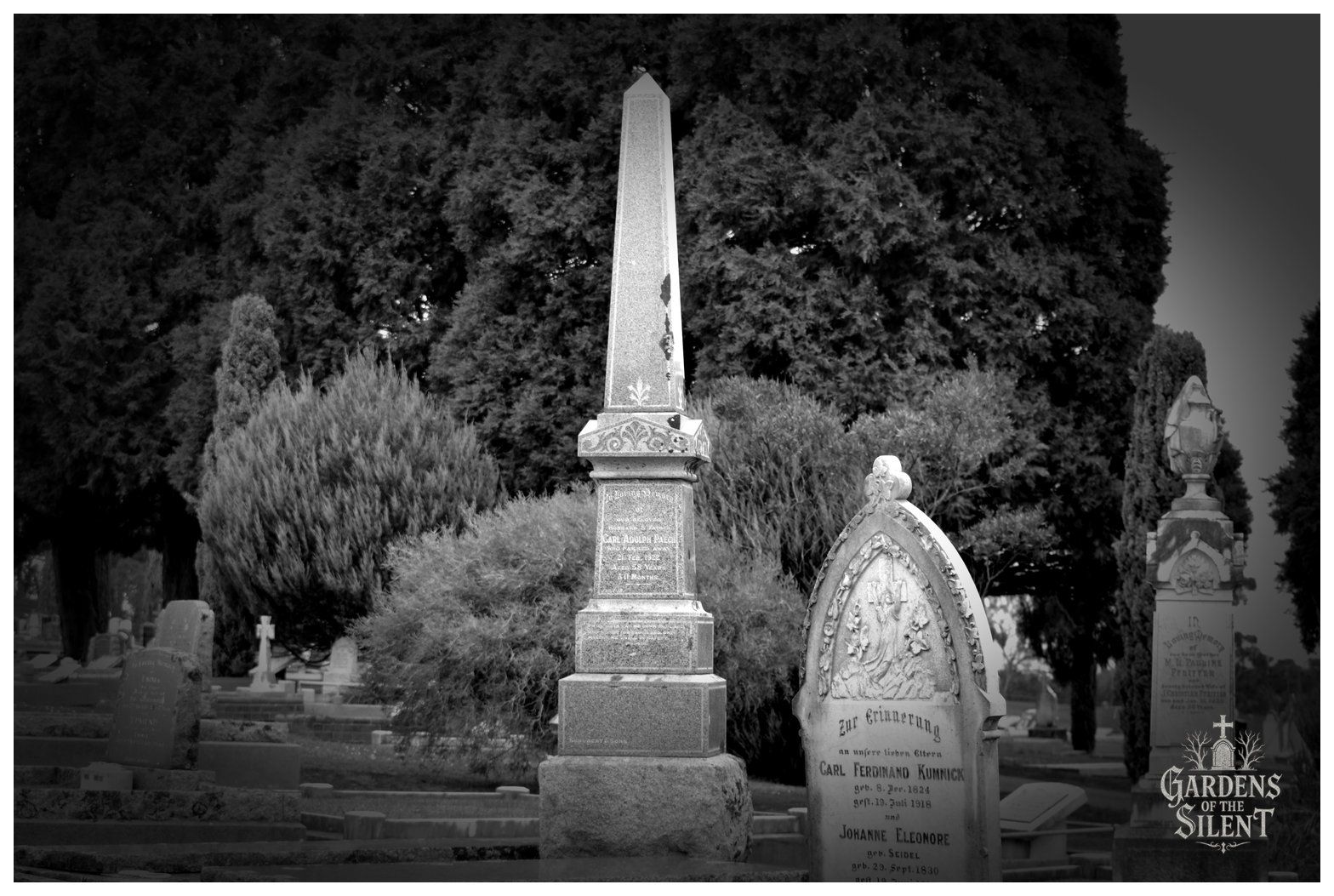 Black and white photograph capturing a group of historic cemetery monuments against a dramatic background of dense, towering conifer trees. A tall polished granite obelisk rises prominently in the centre on a tiered stone base. In the foreground to the right stands an arched marble headstone inscribed in German for Carl Ferdinand Kumnick and Johanne Eleonore Kumnick, decorated with a relief carving of an angel beside a cross. To the far right, another pedestal is surmounted by a sculpted draped urn. The Gardens of the Silent logo is set in the bottom right corner.